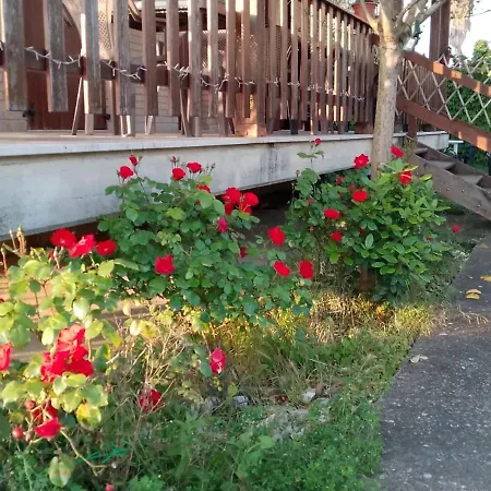 Bed & Breakfast Lorelai Spoltore